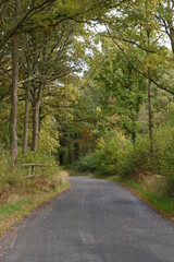 the road traveling through Monkwood in Worcestershire 