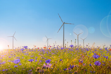 Beautiful meadow field farm landscape with blue and red flowers, wind turbines to produce green...