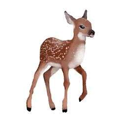cute adorable illustration deer
