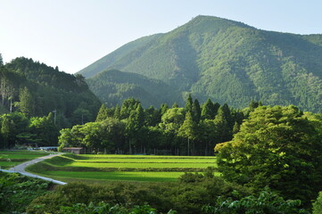 緑豊かな山と田園風景が広がる里山の夏景色