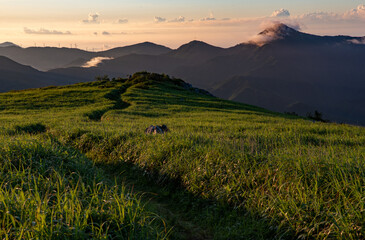朝焼けの高原（四国カルスト）