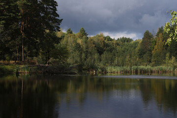 Autumn forest on the lake shore against a cloudy sky. Autumn landscape. The forest and the dramatic sky are reflected in the water surface.