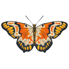 Butterfl with open wings vector illustration and drawing