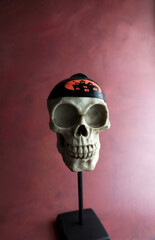 cranium with halloween hat isolated