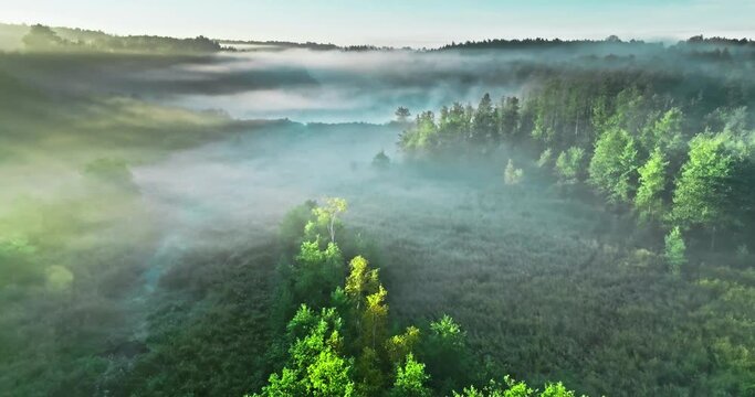 Aerial view of foggy valley in autumn at sunrise.
