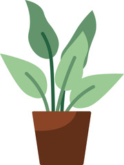 Fototapeta na wymiar Home plant in a pot flat illustration