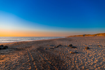 Sunset on the beach, Horizon by the sea, Rocks and birds