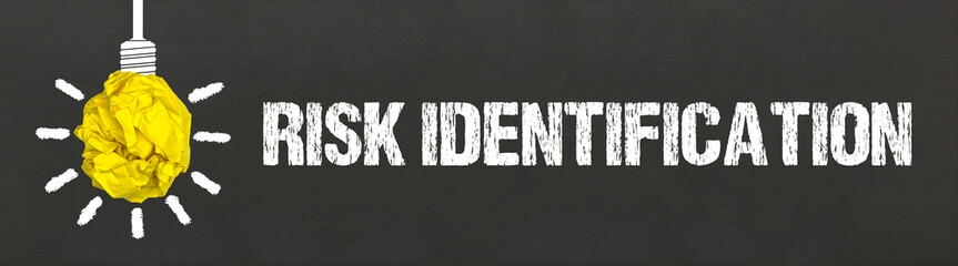 Risk Identification	