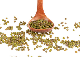 Mungbohnen, grün (Moong Dal)