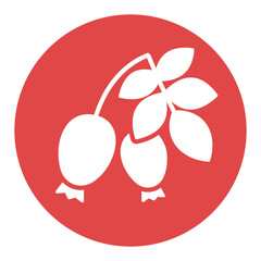 Rose hip berries and leaves vector glyph icon