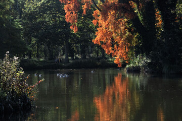 Reflets rouges et dorés d'automne sur l'eau du Lac