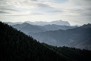 Mountain range and forest in the foreground