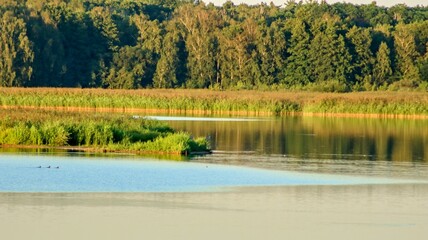 National nature reserve Bohdanec pond.