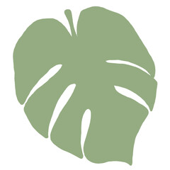 Monstera Leaf Illustration