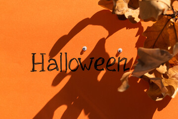 Halloween idea. The inscription Halloween on an orange background next to the shadow from an oak leaf in the form of a ghost with eyes. Festive background.