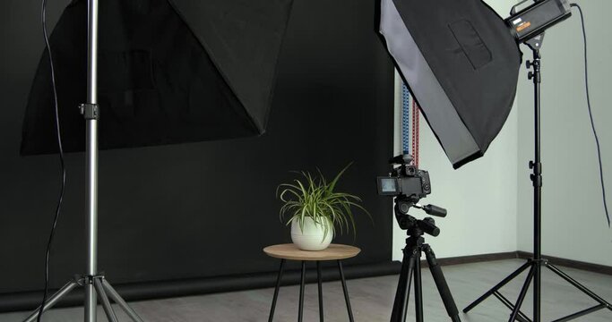 Professional photo equipment and flower on table against black background