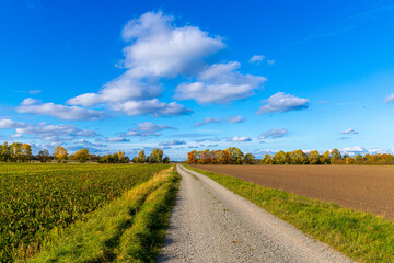 Dirt road in autumn with blue sky