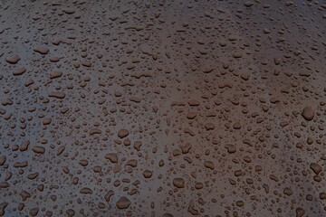 rain drops on the window