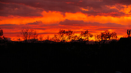 Incredibly colorful and bright sunset on the background of residential buildings.