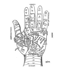 Ligne de la main, ésotérique, vieux parchemin, occulte