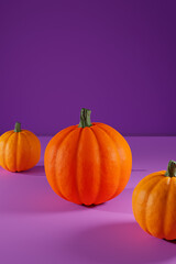 Group of pumpkins on purple studio background. Halloween setting. Copy space for marketing usage