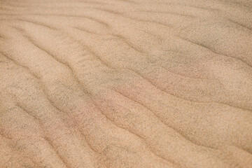 Naklejka na ściany i meble Playa. Paisajes de playa de Gran Canaria, España. Viaje por la costa. Dunas y arena con mar. Texturas de arena. Dunas de arena.