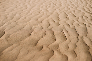 Playa. Paisajes de playa de Gran Canaria, España. Viaje por la costa. Dunas y arena con mar. Texturas de arena. Dunas de arena.