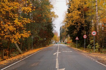 road in autumn forest