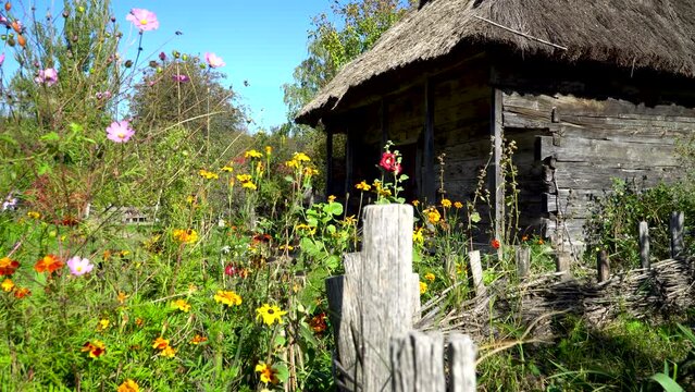 Old traditional Ukrainian house with thatched roof. Ukrainian authentic house. Ukraine.