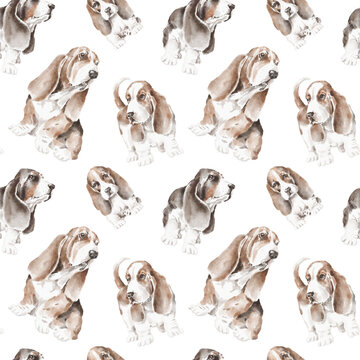 Basset hound seamless patterns