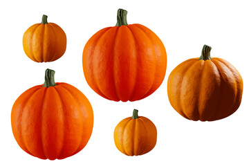Various pumpkins in different angles and lighting. Transparant.