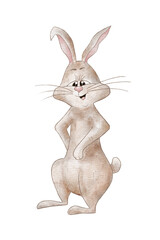 Funny Watercolor Bunny. Illustration of Rabbit Isolated on White Background. Children's Illustration of a Pet. Animal. Gray Rabbit.