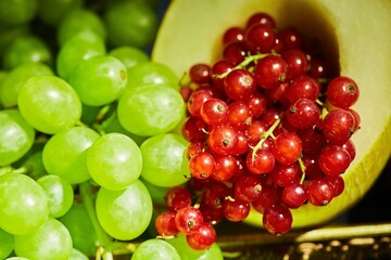 Different types of fruits. Serving for a festive table or Candy bar.
