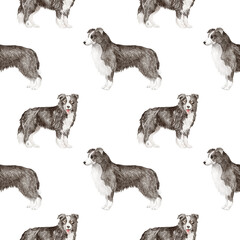 Obraz premium Border collie dog seamless pattern