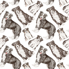 Border collie dog seamless pattern - obrazy, fototapety, plakaty