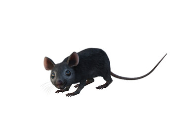 Grey house mouse 3D illustration isolated on transparent background.