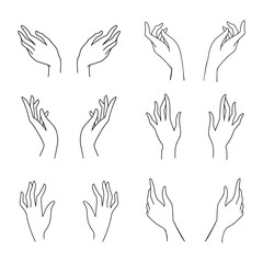 A simple outline drawing of the palms of the hands. Vector black and white sketch of giving hands. isolated set on transparent background