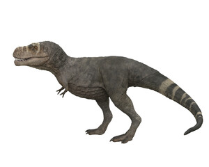 Tyrannosaurus Rex dinosuar walking, side view. 3D illustration isolated on transparent background.