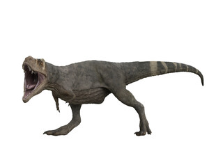 Tyrannosaurus Rex dinosuar side view with mouth wide open. 3D illustration isolated on transparent background.