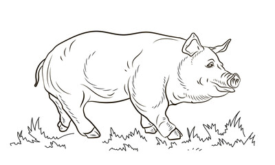 A pet, a pig. Black and white image. Coloring book for children. Vector drawing.
