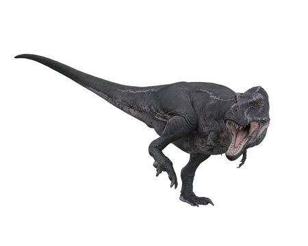 Tyrannosaurus Rex dinosuar in aggressive pose standing on one leg. 3D illustration isolated on transparent background.