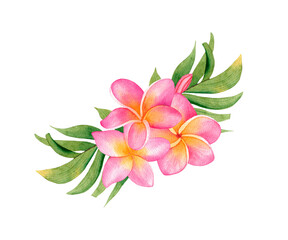Watercolor floral tropical bouquet with plumeria and leaves. Hand painted illustration isolated on white background for invitation, cards, decorations