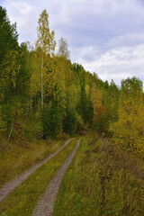 Fototapeta na wymiar Dirt roads through the autumn fields and forests