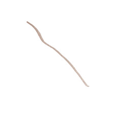 Watercolor stem,flower thread,string,  line, drawing, illustration. holiday party supplies, celebration, fun, Cute drawing for baby shower invitation, greeting cards, it's a boy, it's a girl card	
