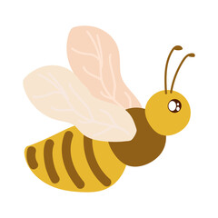 bee bug animal