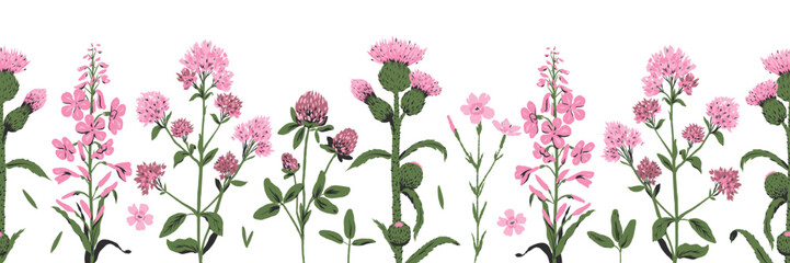 Pink wild flowers: oregano, clover, carduus, maiden pink, chamaenerion. Meadow herbs. Seamless pattern border.