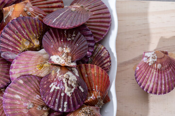 fresh and delicious scallop clams