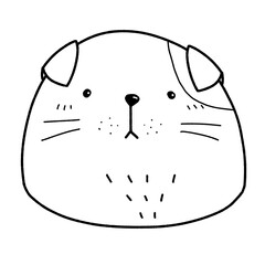 facial cat drawing
