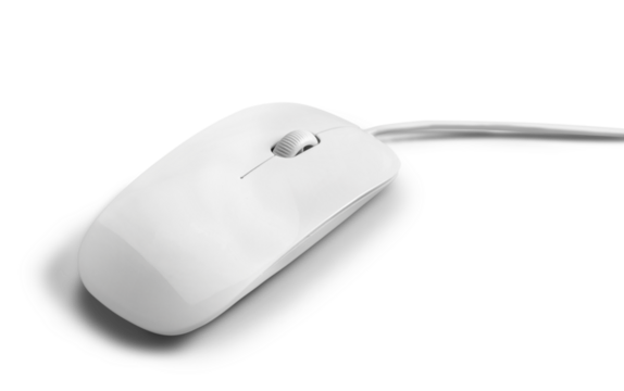 Computer Mouse