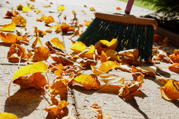 Sweeping leaves. Fall work around the house in the sunset. - Powered by Adobe